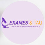 https://www.instagram.com/examesetau/